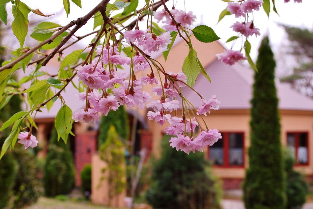 Aromatic Garden Villa La Poltrona Nasu Exterior photo