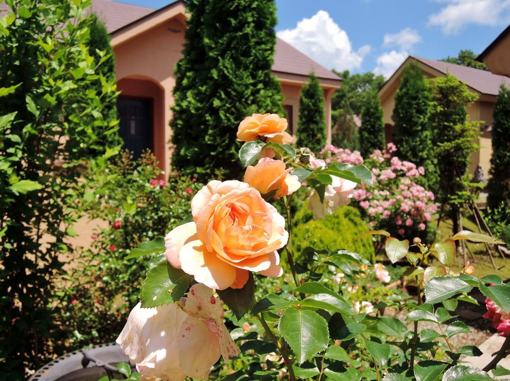 Aromatic Garden Villa La Poltrona Nasu Exterior photo