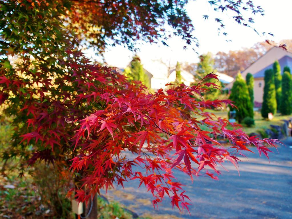 Aromatic Garden Villa La Poltrona Nasu Exterior photo