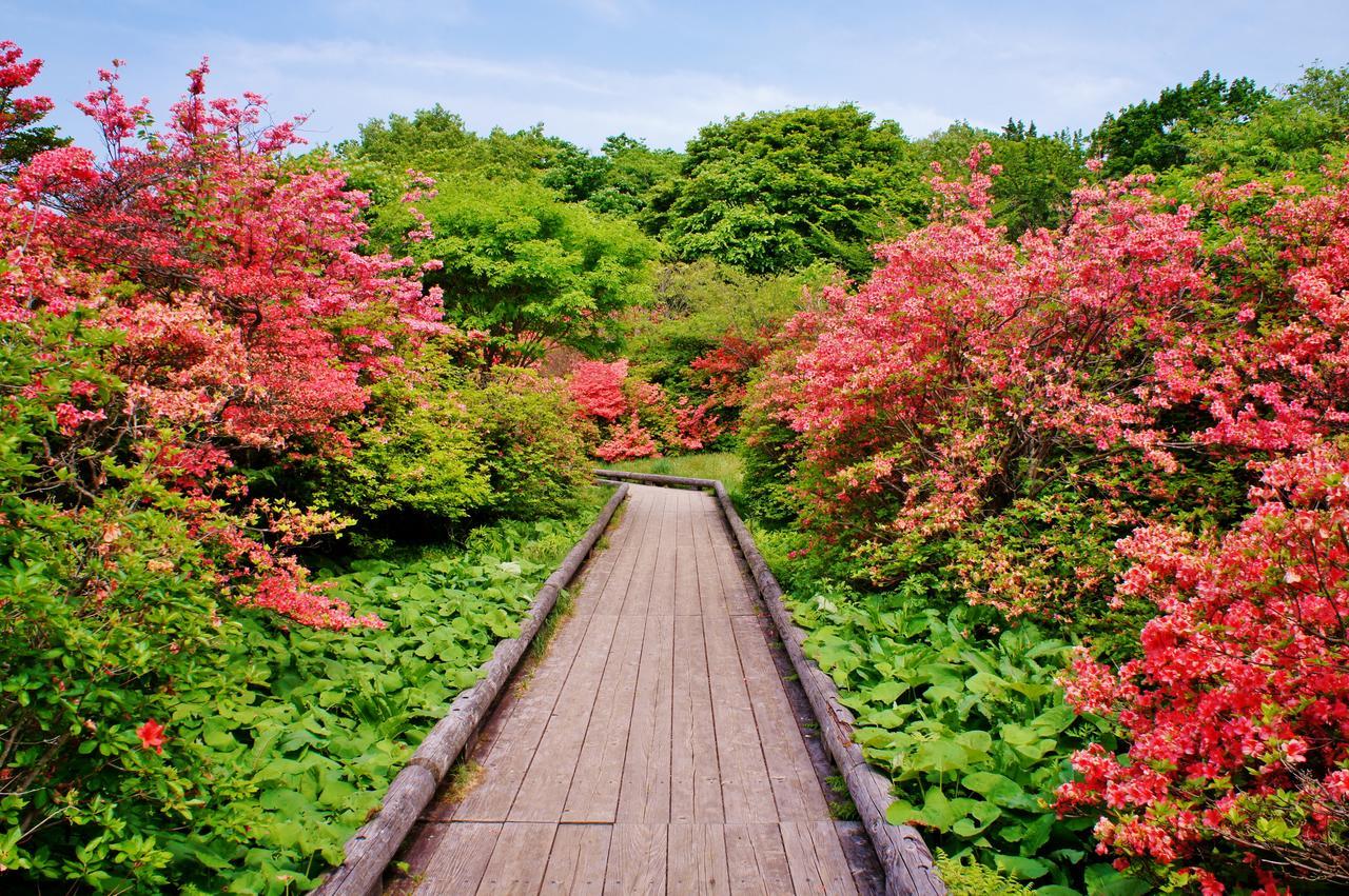 Aromatic Garden Villa La Poltrona Nasu Exterior photo