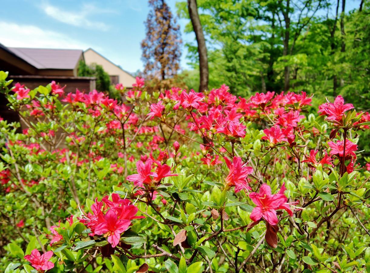 Aromatic Garden Villa La Poltrona Nasu Exterior photo