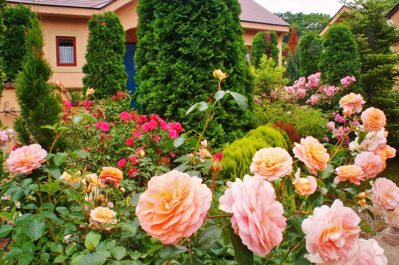 Aromatic Garden Villa La Poltrona Nasu Exterior photo